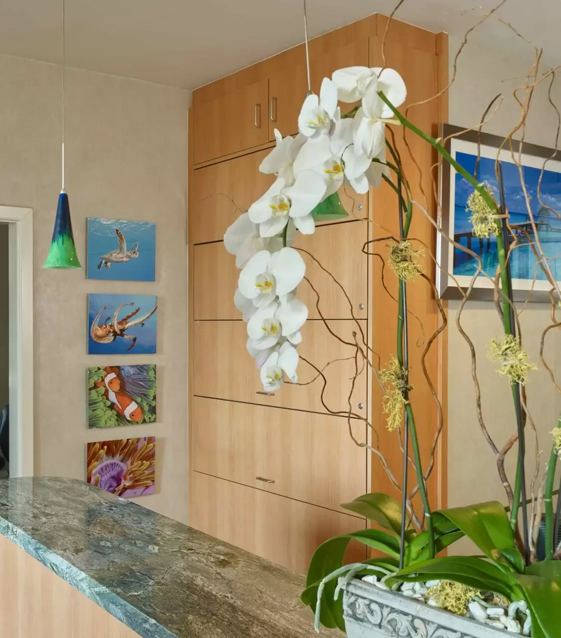 Reception desk welcoming patients to Sutter Dental