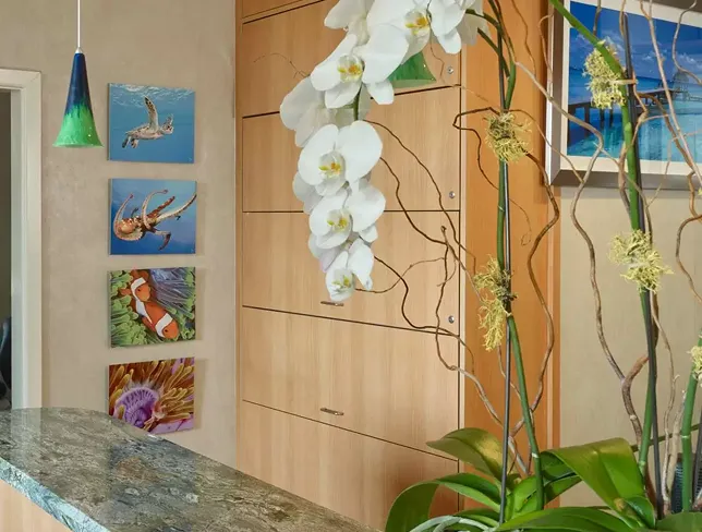 Sutter Dental office — view two