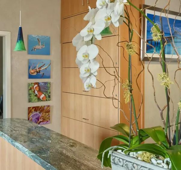Patient Resources — Sutter Dental
